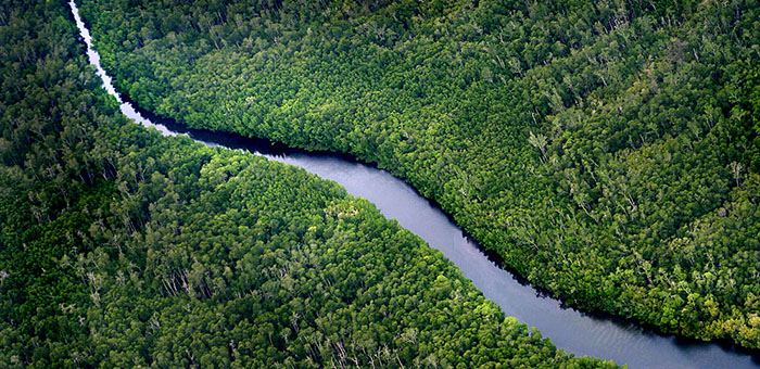 清潔的淡水，是日常生活不可或缺的資源
